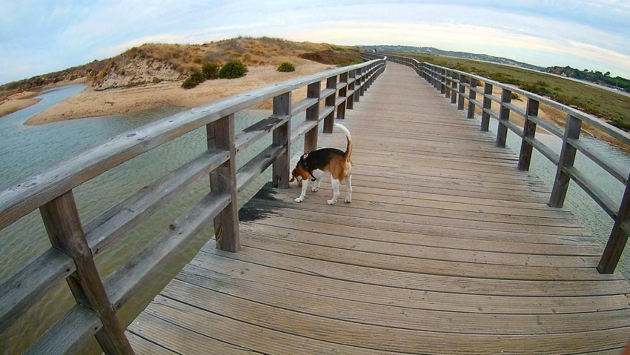 Lovely Apartment Alvor Buitenkant foto